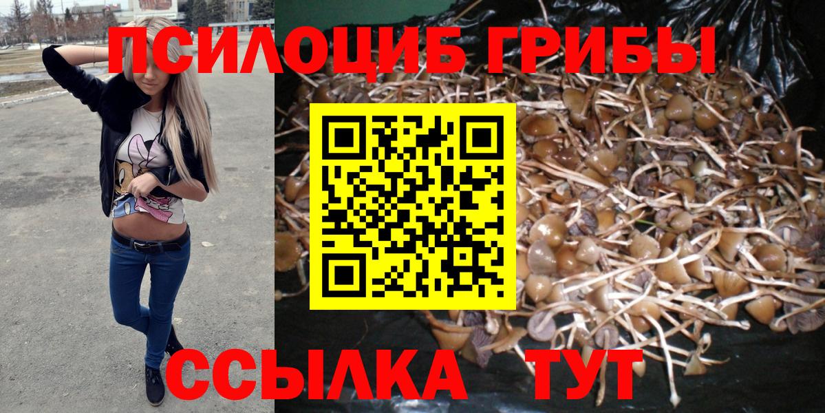 Псилоцибиновые грибы мицелий Белебей