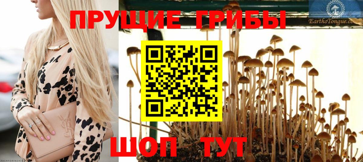 Белебей  Галлюциногенные грибы Cubensis  Вход с VPN  Галлюциногенные грибы прущие грибы 